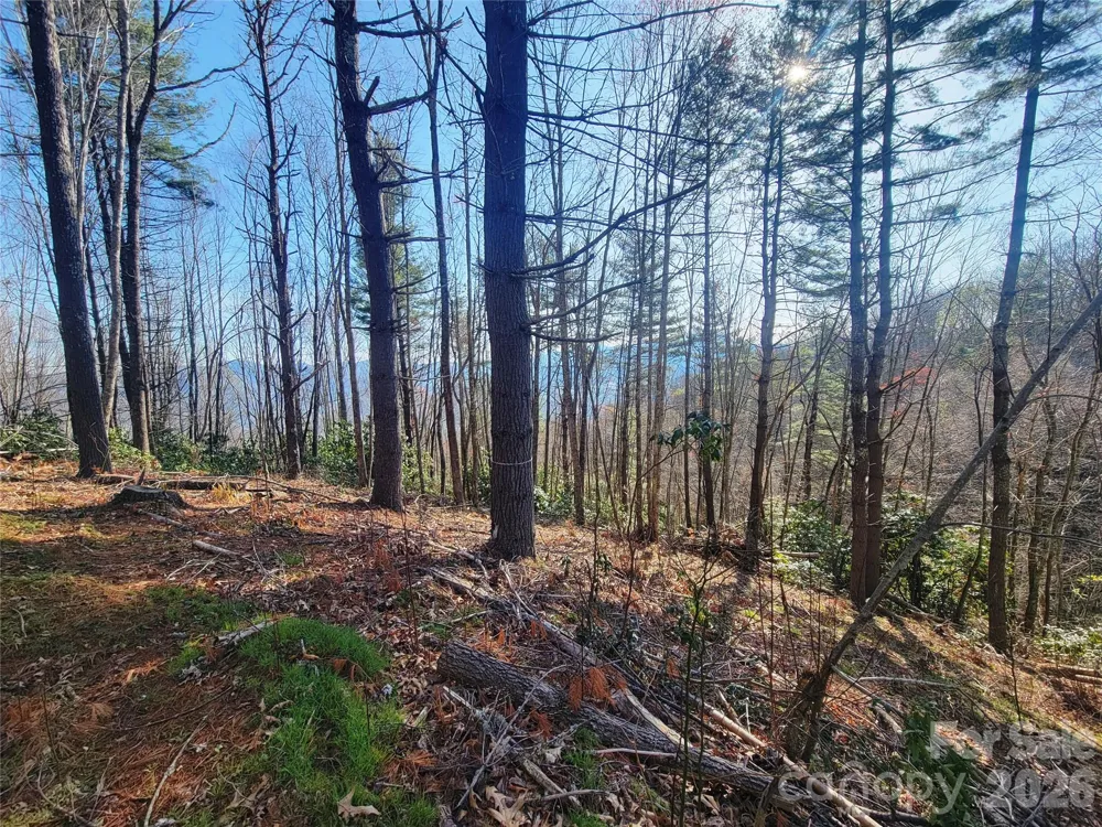 111 Digging Seng Trail #138 Waynesville, NC 28785