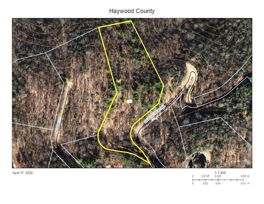 111 Digging Seng Trail #138 Waynesville, NC 28785
