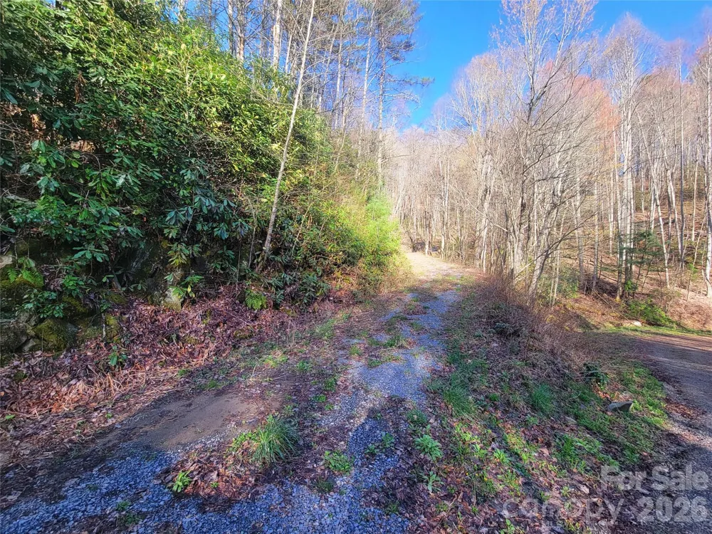 111 Digging Seng Trail #138 Waynesville, NC 28785