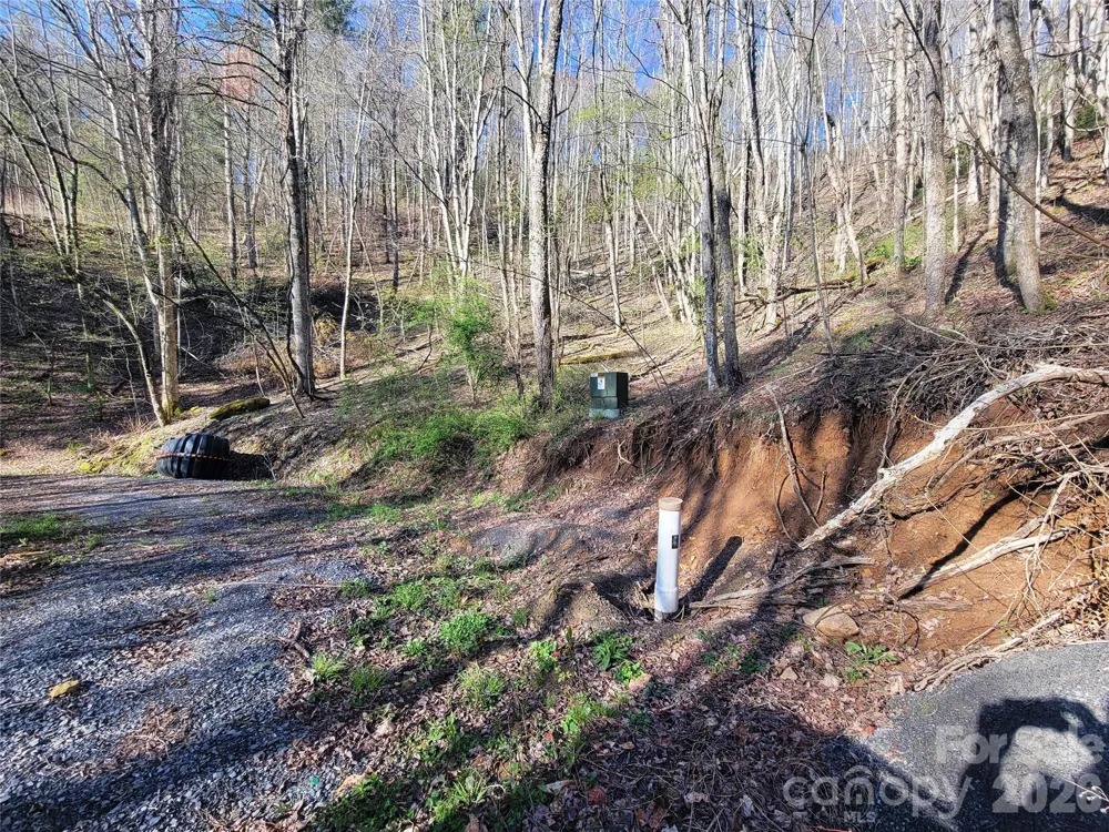 111 Digging Seng Trail #138 Waynesville, NC 28785