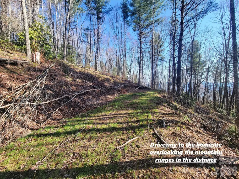 111 Digging Seng Trail #138 Waynesville, NC 28785