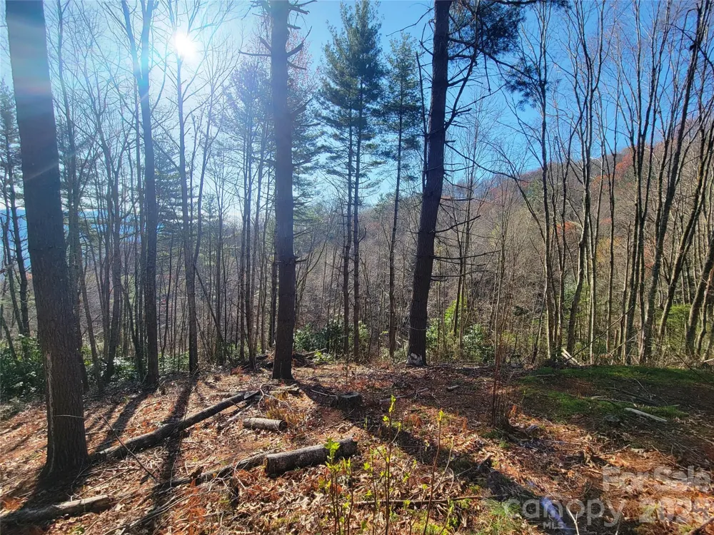 111 Digging Seng Trail #138 Waynesville, NC 28785