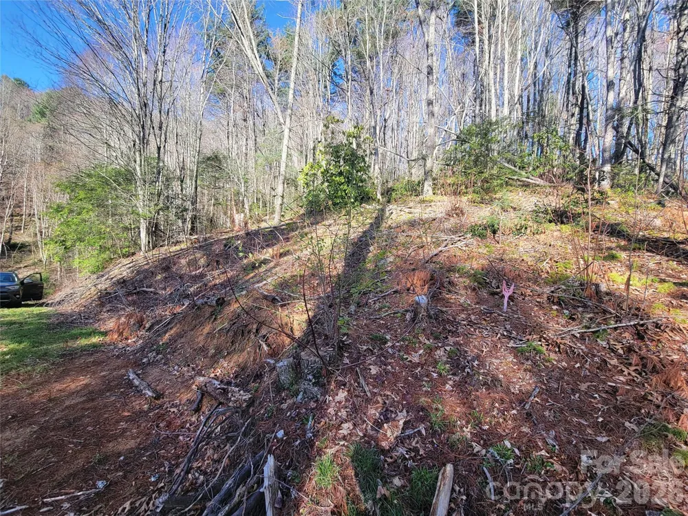 111 Digging Seng Trail #138 Waynesville, NC 28785