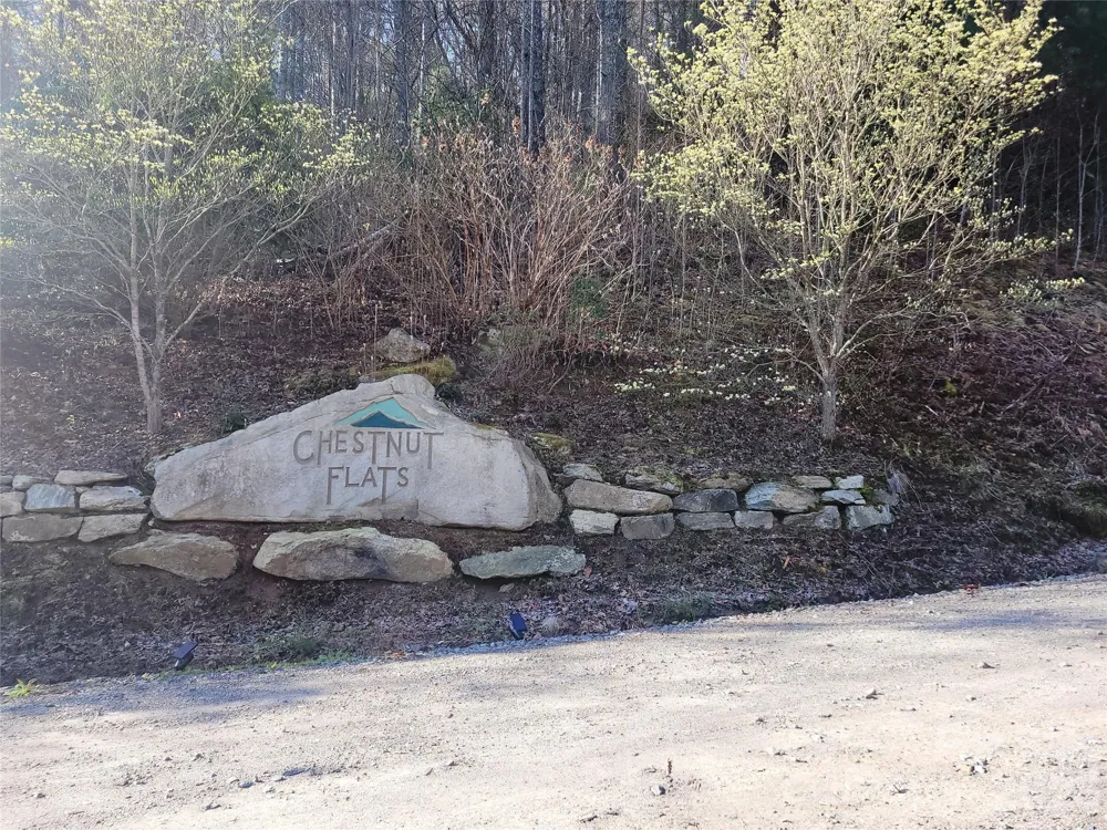 111 Digging Seng Trail #138 Waynesville, NC 28785