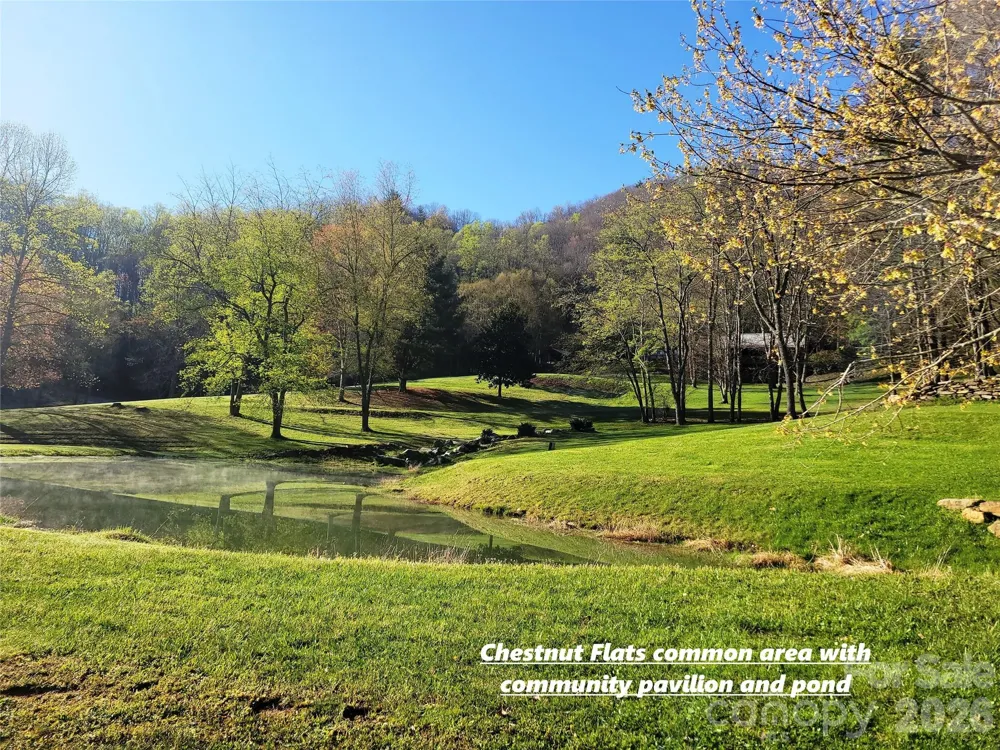 111 Digging Seng Trail #138 Waynesville, NC 28785