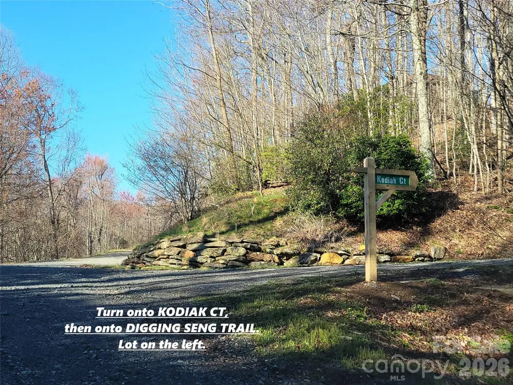 111 Digging Seng Trail #138 Waynesville, NC 28785