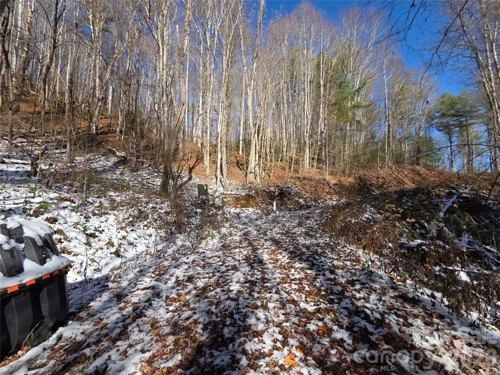 111 Digging Seng Trail #138 Waynesville, NC 28785