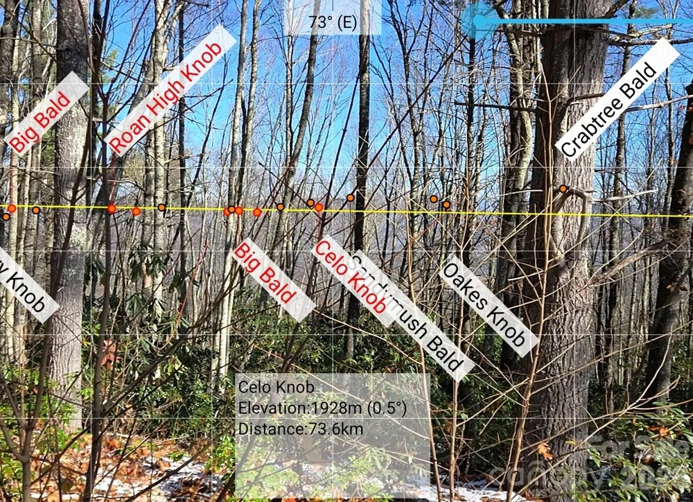 111 Digging Seng Trail #138 Waynesville, NC 28785
