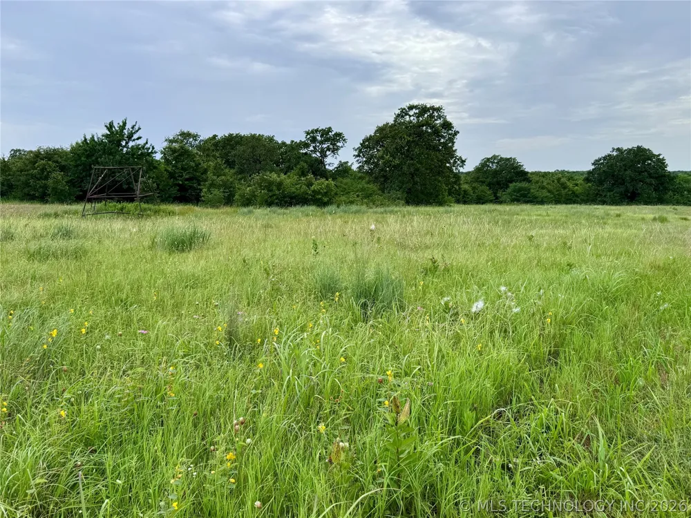 3689 No Man Road Healdton, OK 73438