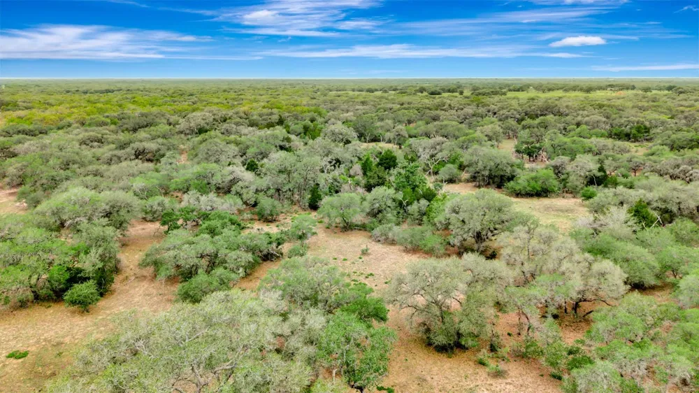 16297 State Highway 111 E Yoakum, TX 77995