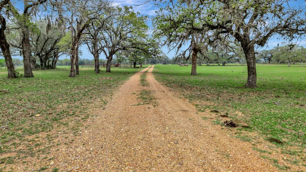 16297 State Highway 111 E Yoakum, TX 77995
