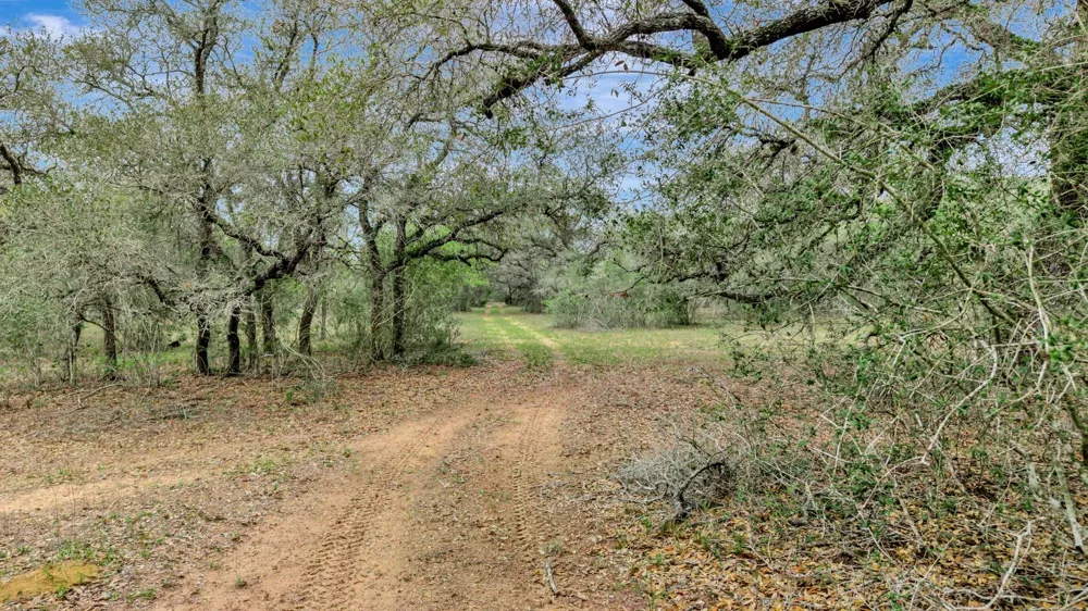 16297 State Highway 111 E Yoakum, TX 77995