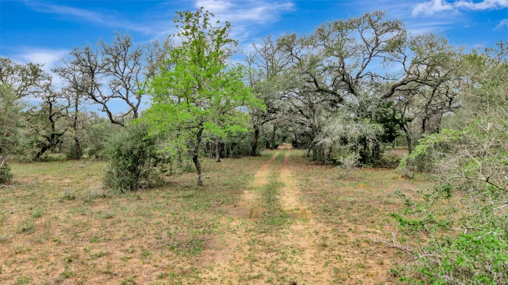 16297 State Highway 111 E Yoakum, TX 77995