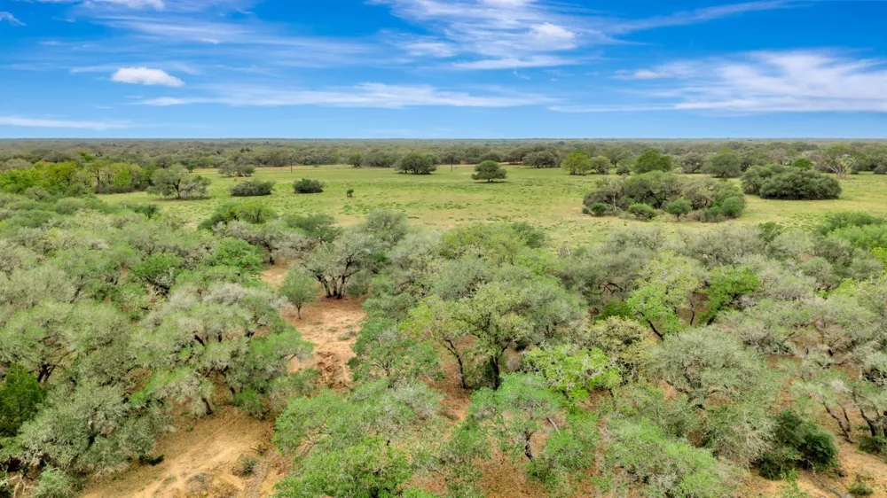 16297 State Highway 111 E Yoakum, TX 77995