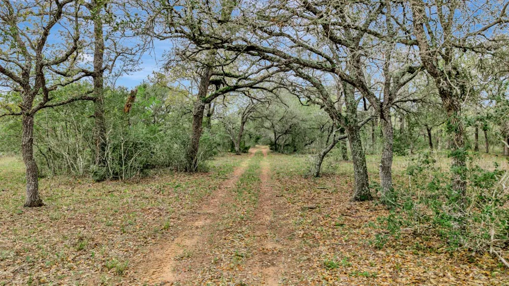 16297 State Highway 111 E Yoakum, TX 77995