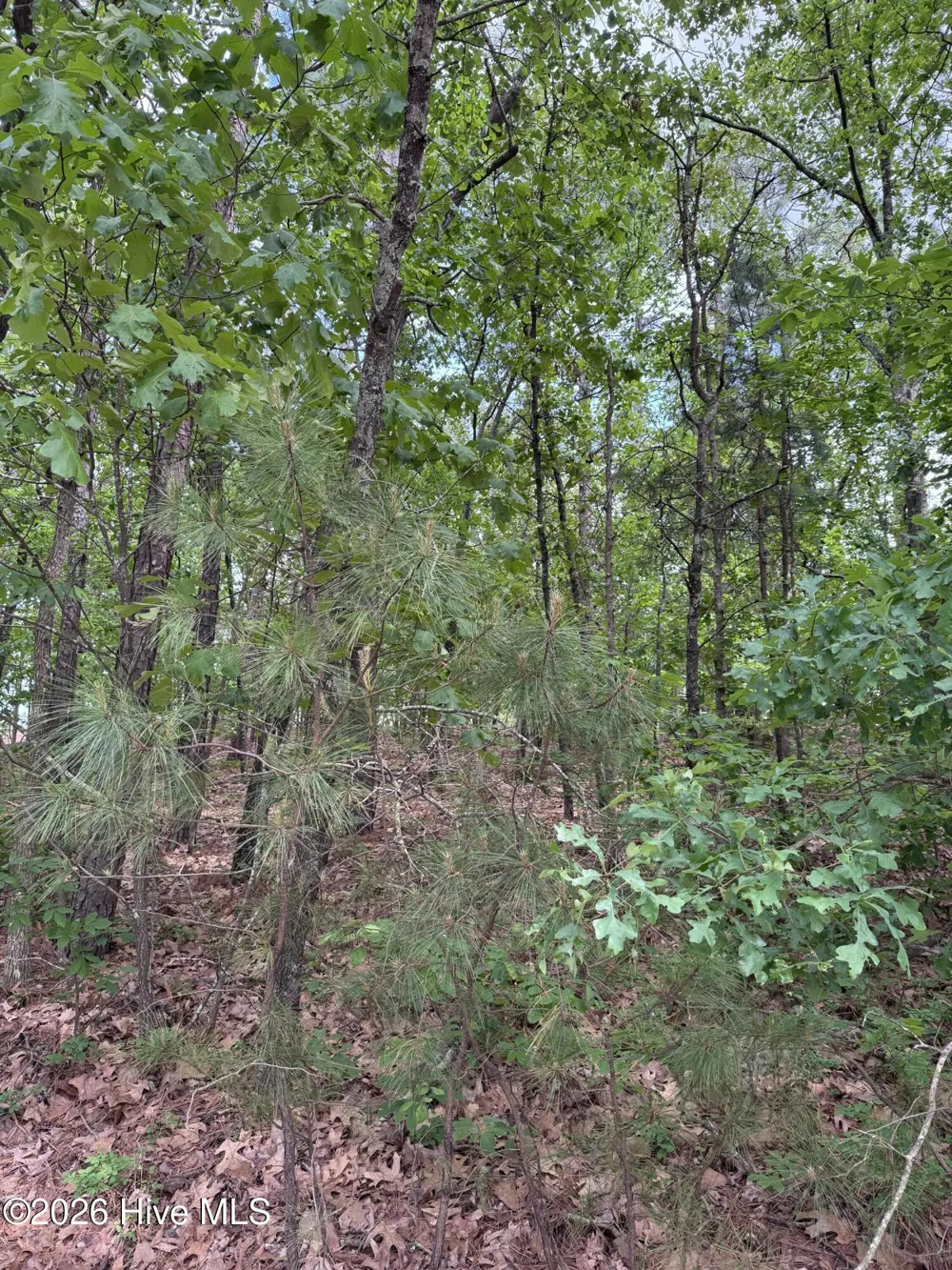 148 Otter Drive Seven Lakes, NC 27376
