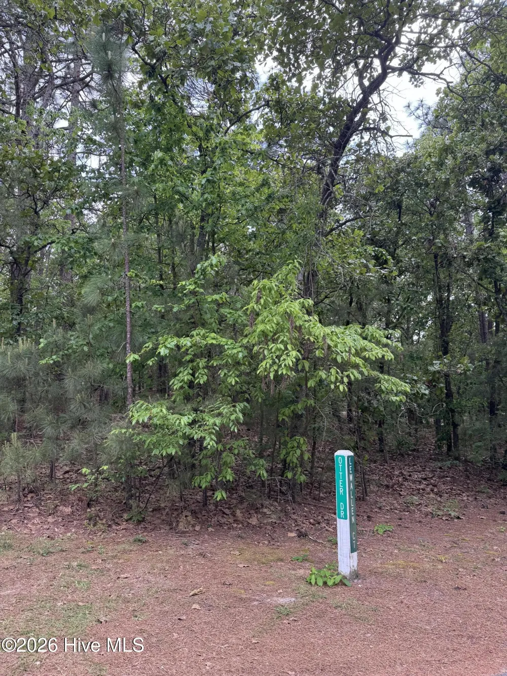 148 Otter Drive Seven Lakes, NC 27376