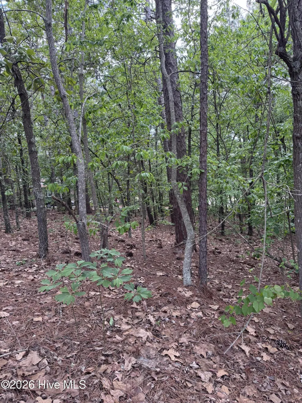 148 Otter Drive Seven Lakes, NC 27376