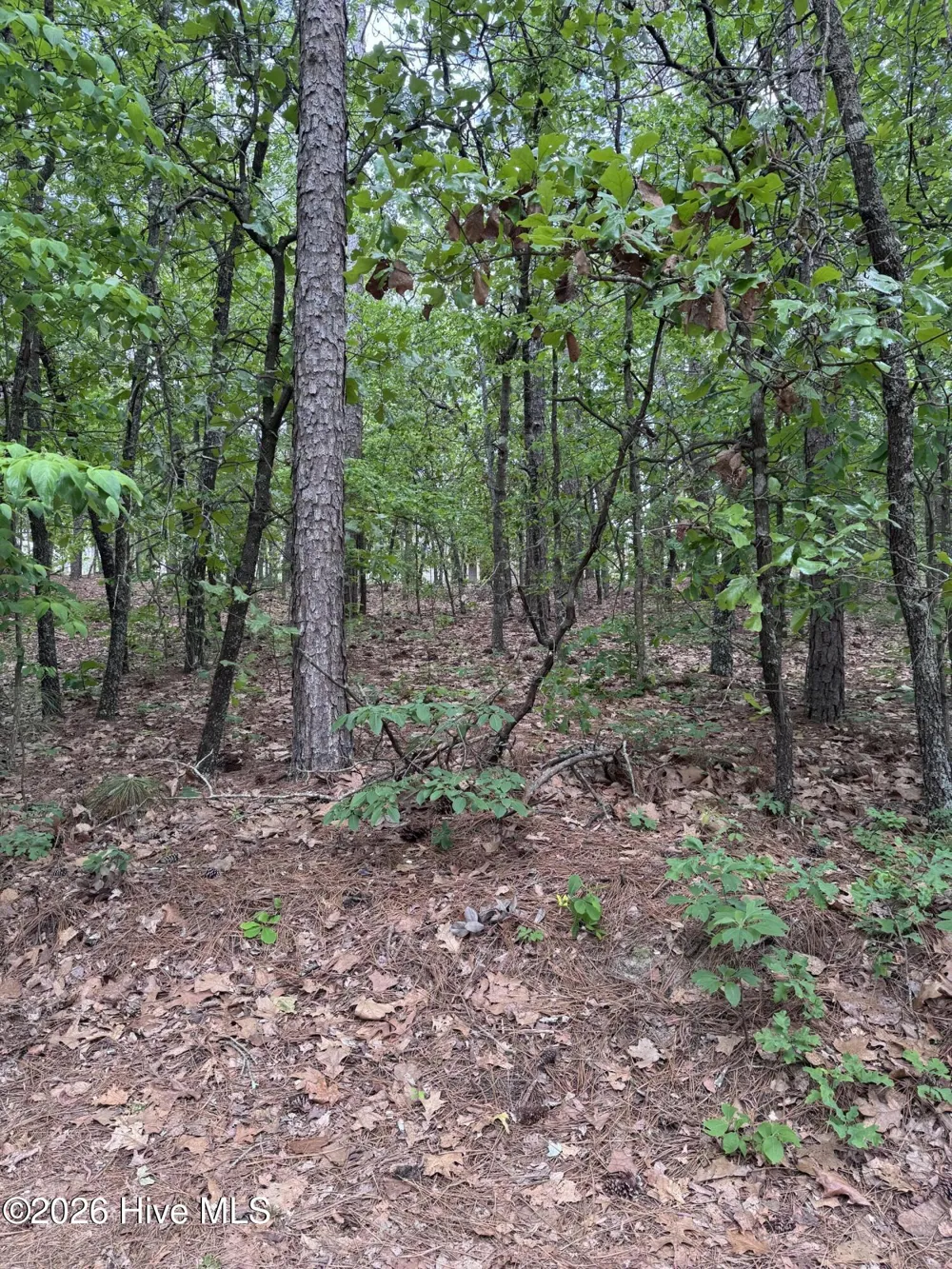 148 Otter Drive Seven Lakes, NC 27376