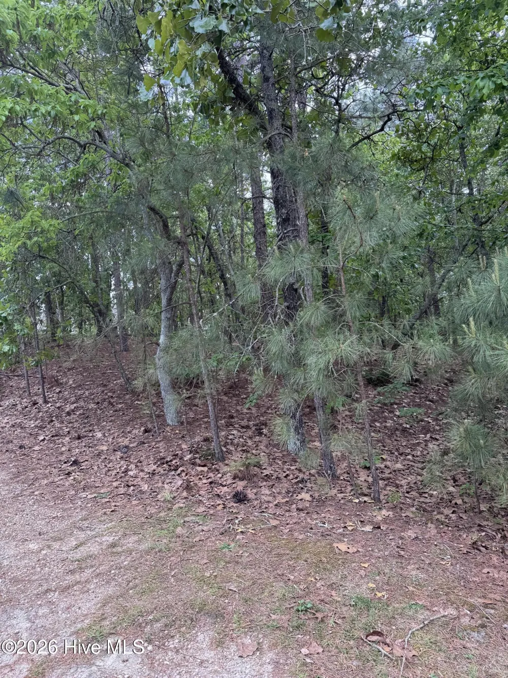 148 Otter Drive Seven Lakes, NC 27376