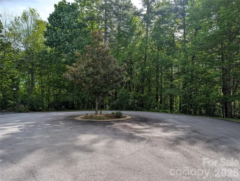 00 Hosta Lane Hendersonville, NC 28739
