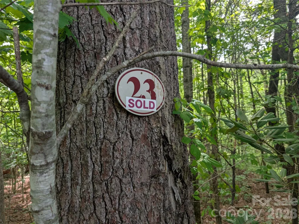 00 Hosta Lane Hendersonville, NC 28739