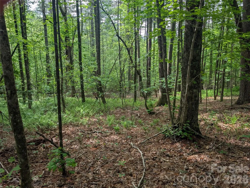 00 Hosta Lane Hendersonville, NC 28739