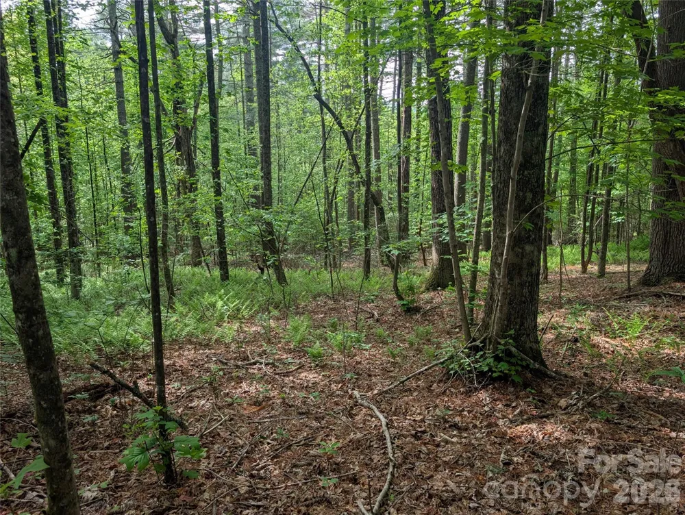 00 Hosta Lane Hendersonville, NC 28739
