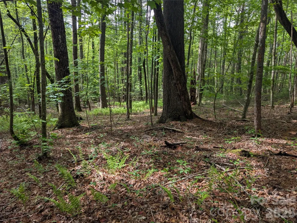 00 Hosta Lane Hendersonville, NC 28739