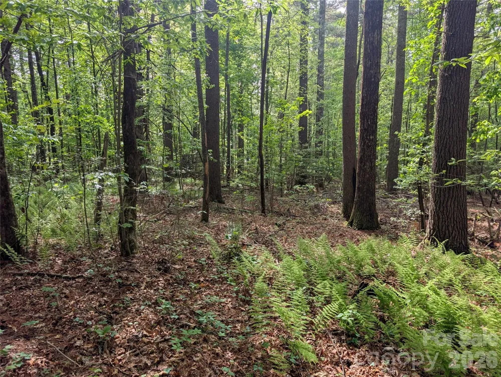 00 Hosta Lane Hendersonville, NC 28739