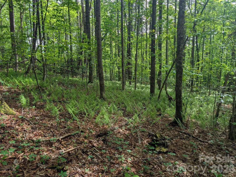 00 Hosta Lane Hendersonville, NC 28739