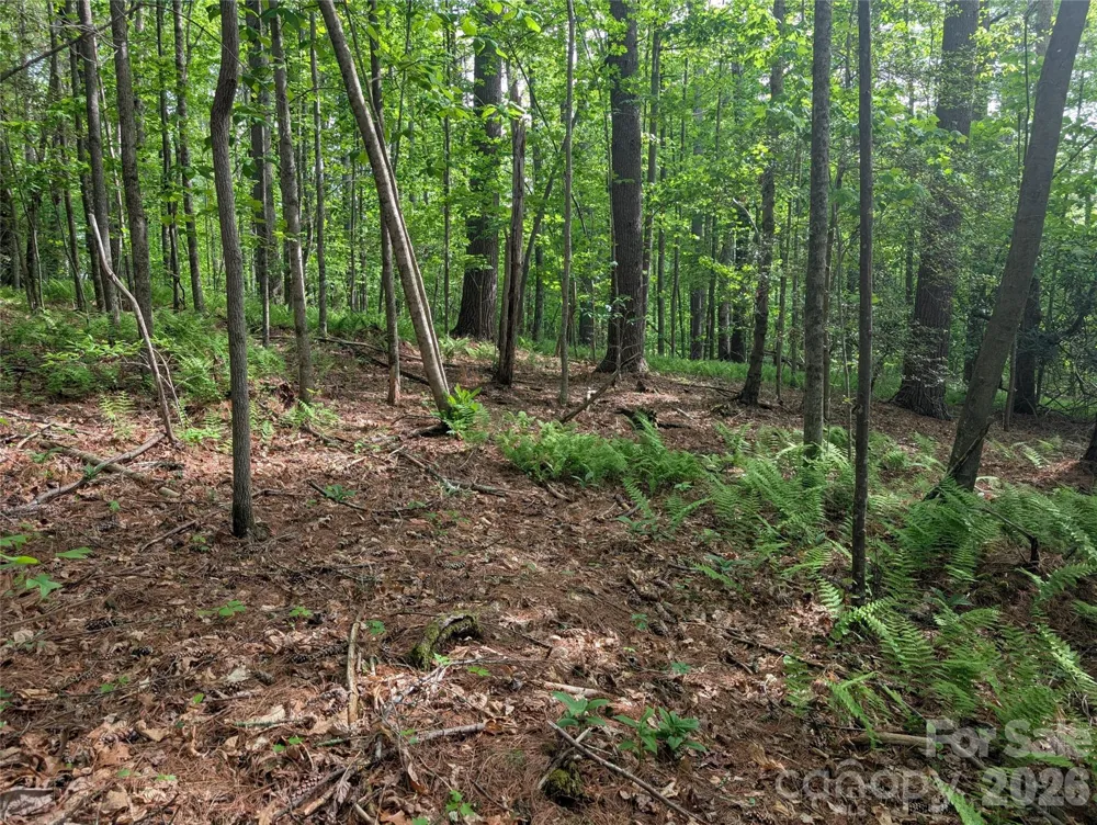 00 Hosta Lane Hendersonville, NC 28739