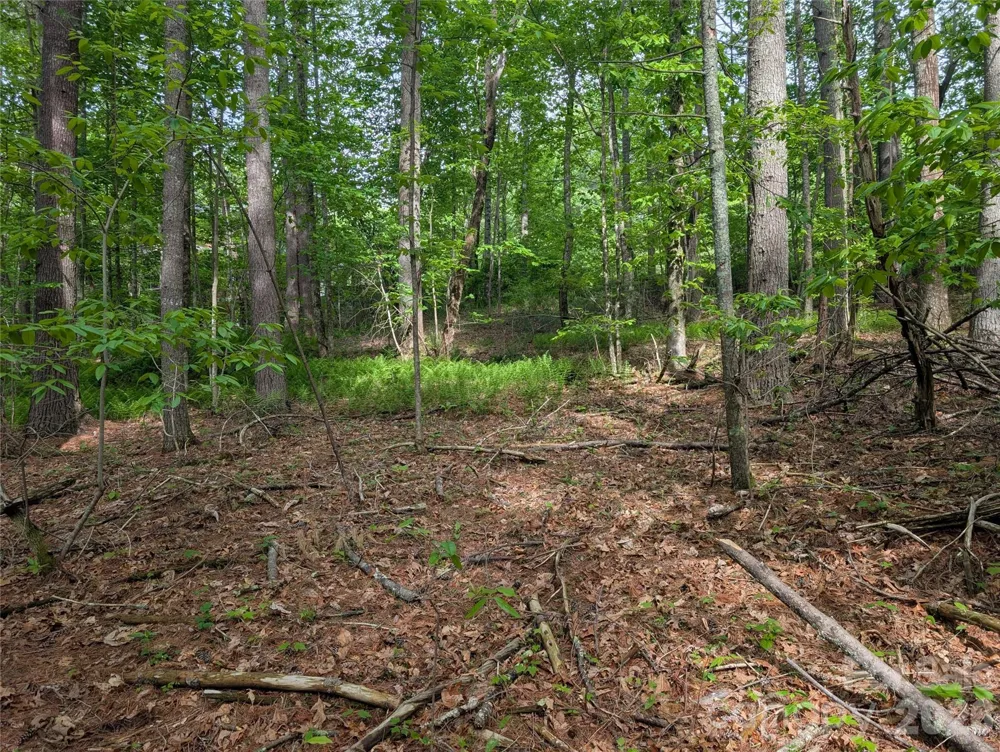 00 Hosta Lane Hendersonville, NC 28739