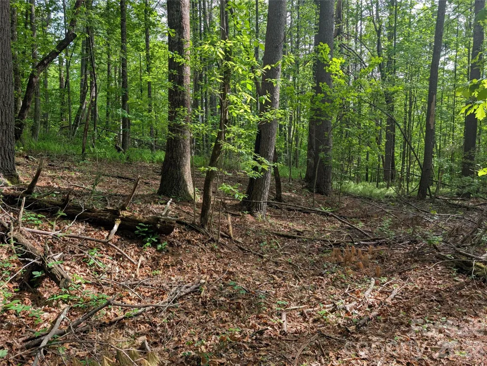 00 Hosta Lane Hendersonville, NC 28739