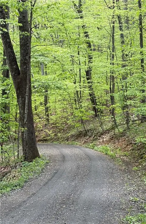 Lot#28 Bluff Ridge Road