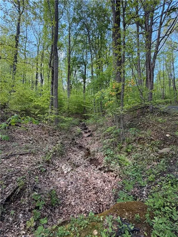 Lot#28 Bluff Ridge Road West Jefferson, NC 28694