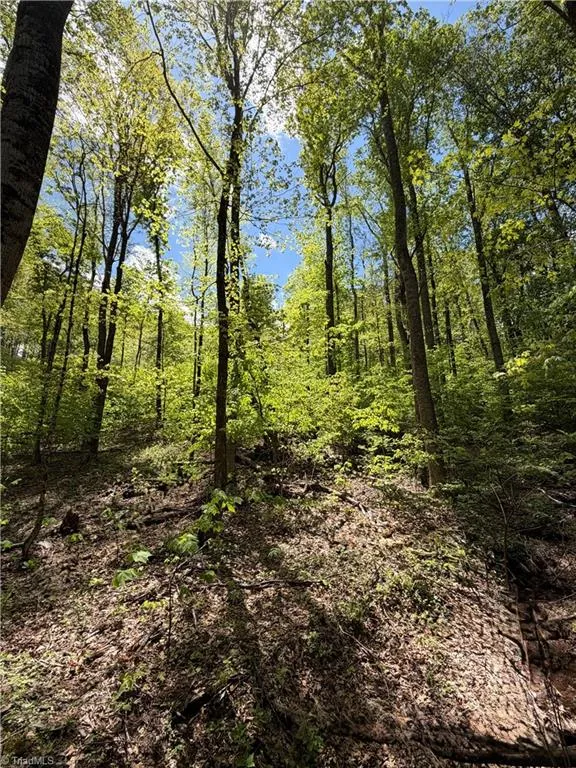 Lot#28 Bluff Ridge Road West Jefferson, NC 28694