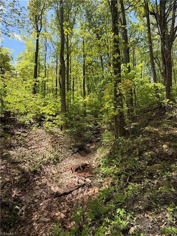 Lot#28 Bluff Ridge Road West Jefferson, NC 28694
