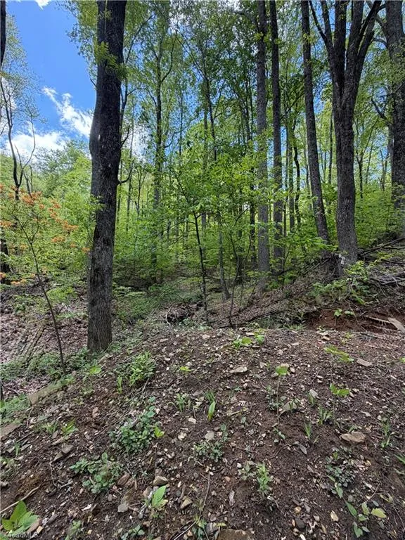 Lot#28 Bluff Ridge Road West Jefferson, NC 28694