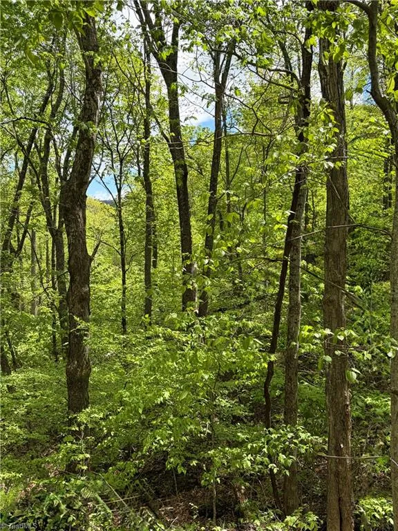 Lot#28 Bluff Ridge Road West Jefferson, NC 28694