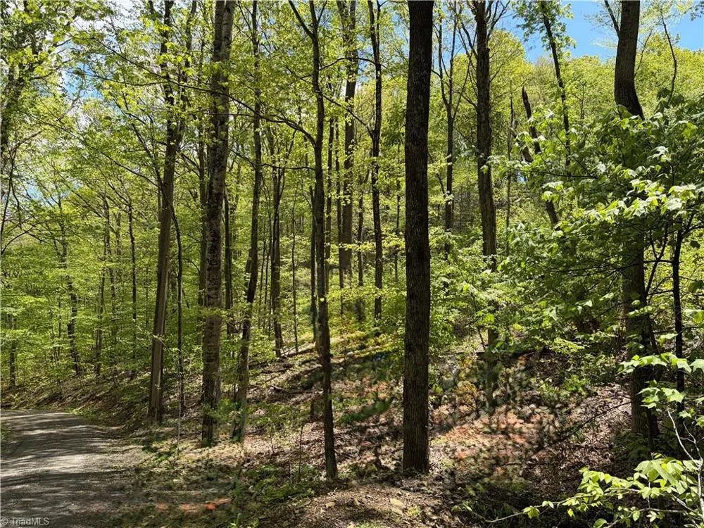 Lot#28 Bluff Ridge Road West Jefferson, NC 28694