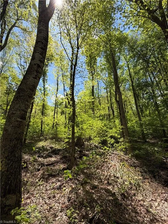 Lot#28 Bluff Ridge Road West Jefferson, NC 28694