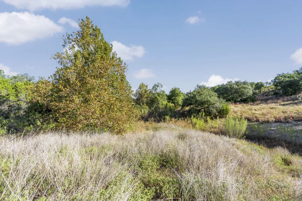 2021 Stagecoach Ranch Road Dripping Springs, TX 78620