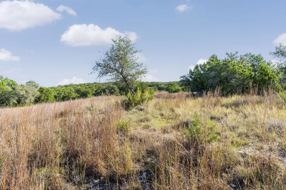 2021 Stagecoach Ranch Road Dripping Springs, TX 78620
