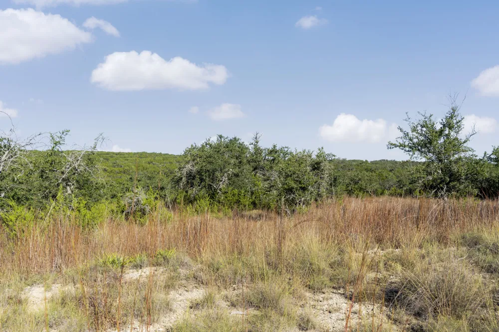 2021 Stagecoach Ranch Road Dripping Springs, TX 78620