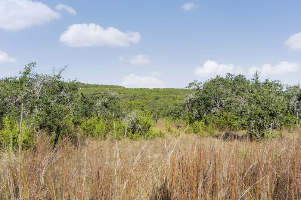 2021 Stagecoach Ranch Road Dripping Springs, TX 78620