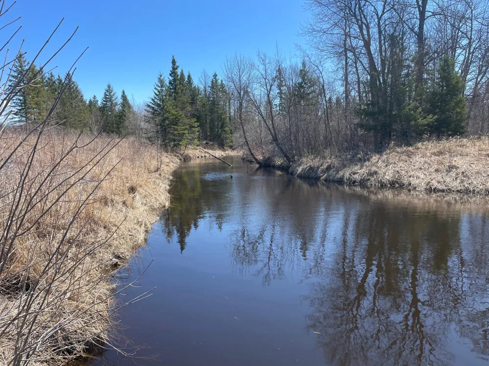 TBD Cormorant Road NE Kelliher, MN 56650