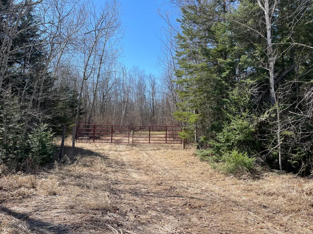 TBD Cormorant Road NE Kelliher, MN 56650