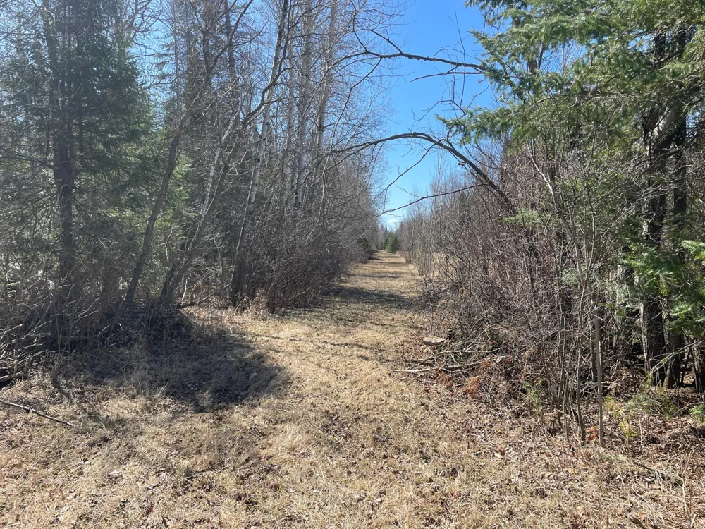TBD Cormorant Road NE Kelliher, MN 56650