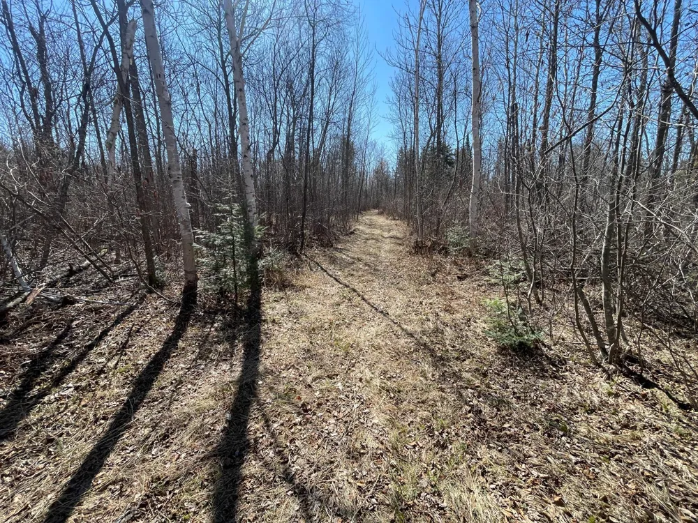 TBD Cormorant Road NE Kelliher, MN 56650